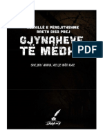 Këshillë e Përgjithshme Rreth Disa Prej Gjynaheve Të Mëdha