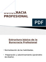 Burocracia Profesional Diapositivas