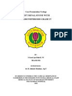 Left Renal Stone With Hydronephrosis Grade Iv: Case Presentation Urology