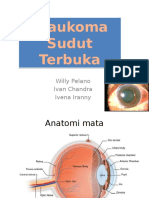 glaukoma sudut terbuka