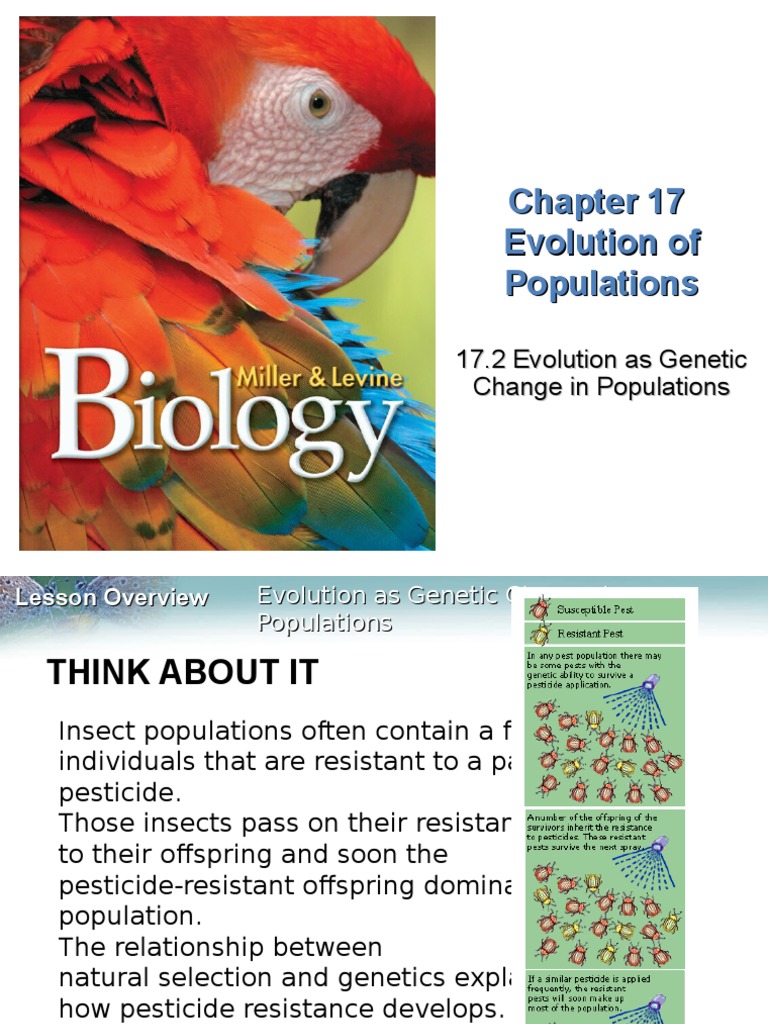 Genetic Changes in Populations | PDF | Natural Selection | Evolution