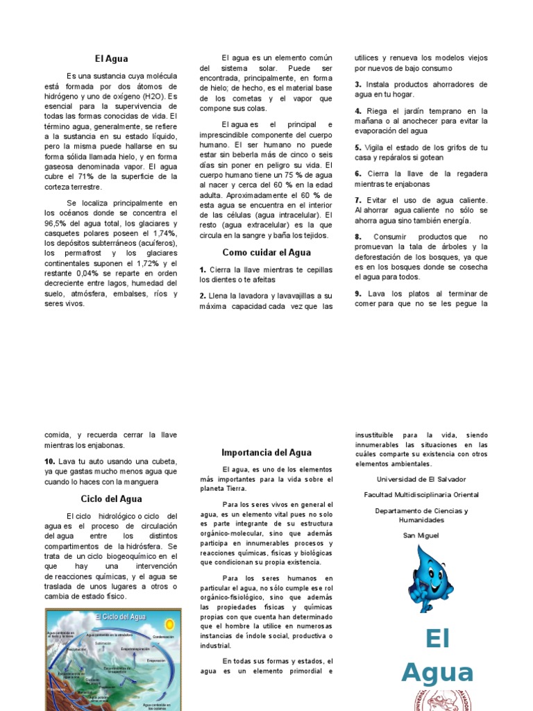Importancia y Cuidado del Agua | PDF | Agua | Materiales transparentes