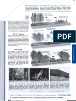 Forestry Guided Notes-10312016094037