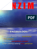 2 Enzim