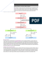 a2-4-2-glycolysis.pdf