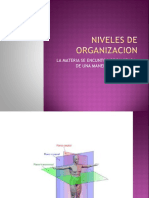 Niveles de Organizacion