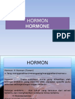 3 Hormon
