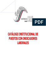 Catalogo Institucional de Puestos PDF