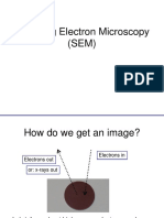 Scanning Electron Microscopy (SEM)