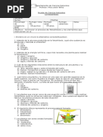 Prueba Fotosintesis 6