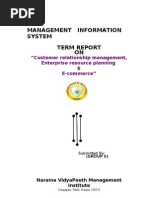 Management Information System Term Report ON