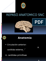 Anatomia Sistema Nervioso Central