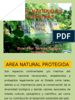 Áreas-Naturales-Protegidas.pptx