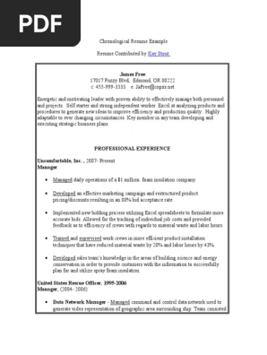 Chronological Resume Example
