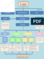 El Cerebro - Mapa Conceptual