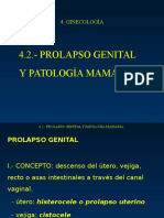 4.2 Prolapso Genital y Patología Mamaria