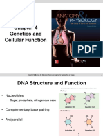 Chapter 4 - Genetics and Cellular Function