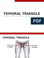 Femoral Triangle