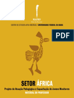 SETOR ÁFRICA.pdf