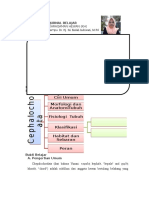 ISA JURNAL Cephalochordata