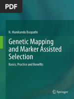 Wau Bulan  PDF  Kite