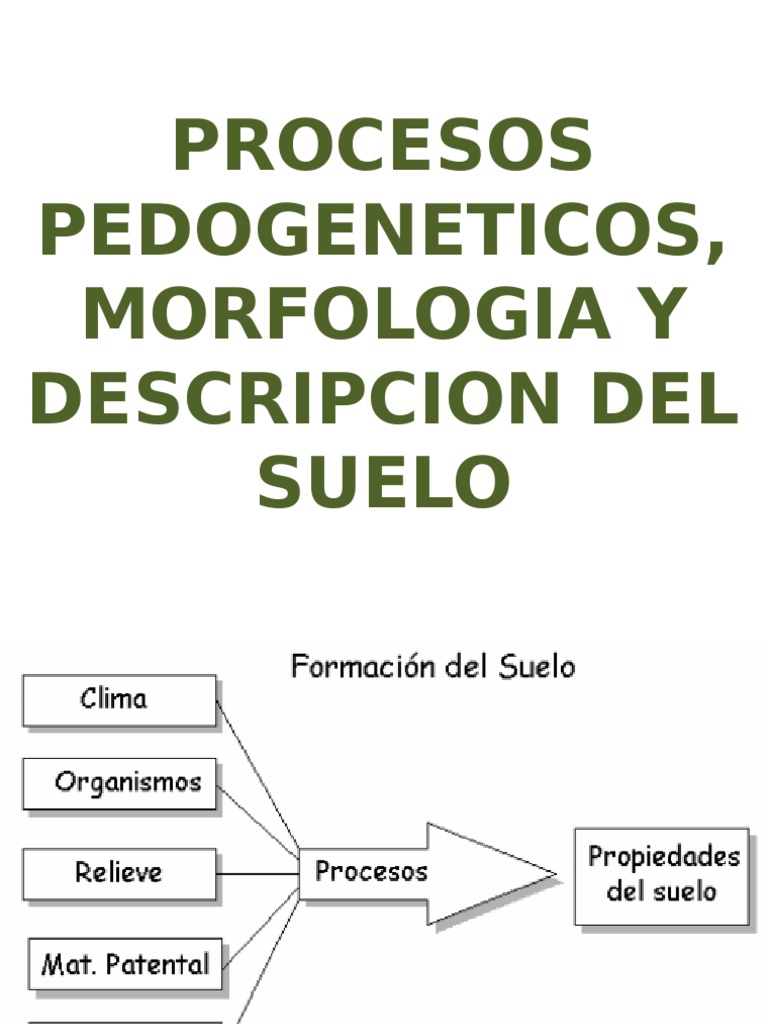 Procesos Pedogeneticos | PDF