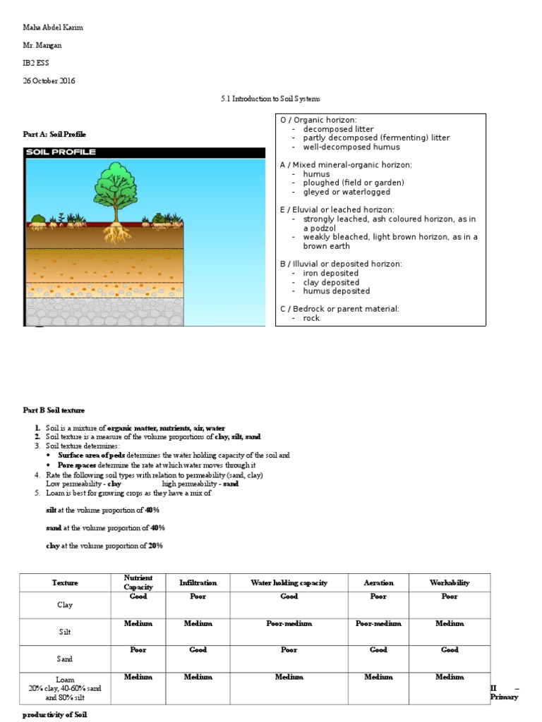 1 worksheet Soil Soil Science