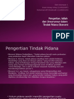 Pengertian, Istilah Dan Unsur-Unsur Dalam Tindak Pidana Ekonomi