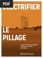 Electrifier le Pillage