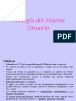 Patologia Sistema Urinario11