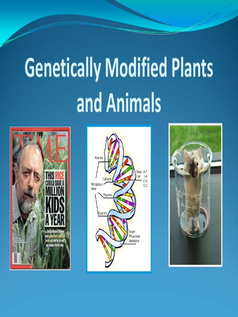 Genetic Modification of Plants and Animals | PDF | Genetic Engineering ...