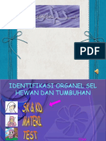 Organel Sel Tumbuhan Dan Hewan