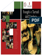 Funghi e Tartufi Dell'Umbria