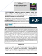 Investigation of S Saliva of Adult Obese  