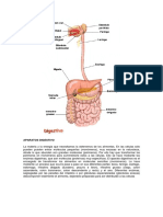 APARELLO+DIXESTIVO.pdf