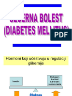 Diabetes Mellitus Seminar