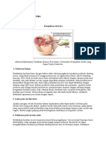 Komplikasi Abortus