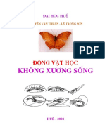 KH NG X NG Sèng: ®éng Vët Häc