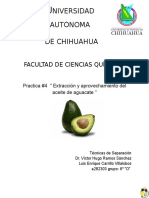 Practica-aguacate-final.docx