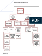 Dreptul La Cale de Atac - Schema