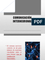 Comunicación Interneuronal