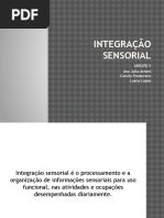 Integracao Sensorial