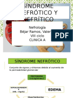 sindromenefroticoynefritico