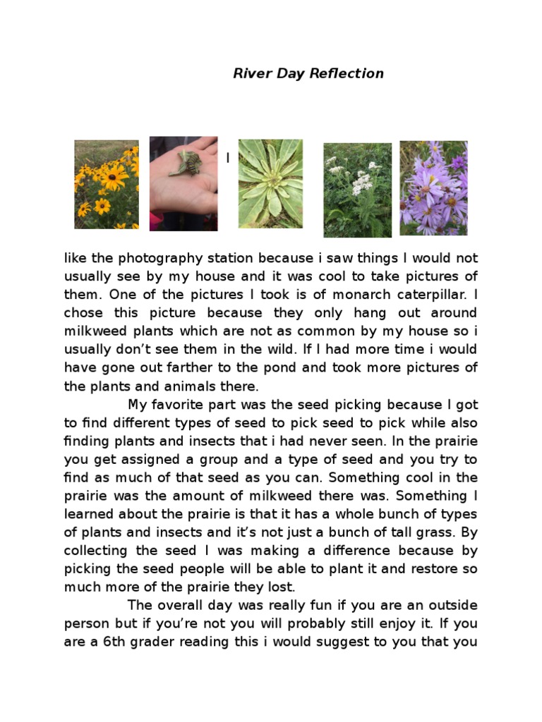 Riverdayreflection | PDF