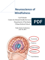 neurosciencemindfulness.pdf