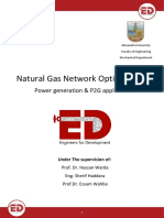 Natural Gas Network Optimization and Power to Gas Applications