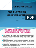 Preflotacion y Diseño Flotacionfinal