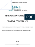 Trabajo 5 Petro Sedimentaria