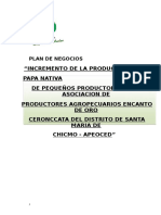 Plan de Negocios de Produccion de Papa Nativa.docx Final. Semi Docx.pdf (1)