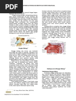 Download buku tht by dewilalala SN329800687 doc pdf